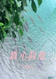 真心或是假意