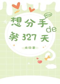 想分手的327天小说