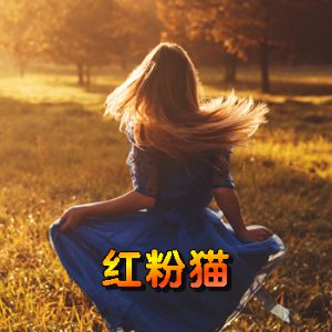 红粉猫